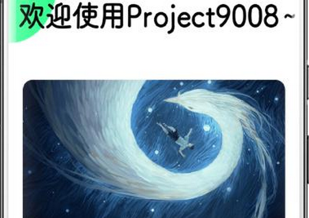 Project9008
