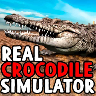 Real Crocodile Simulator(ģ)1.0.0 ׿°