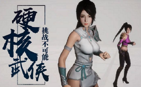 硬核武侠 硬核武侠