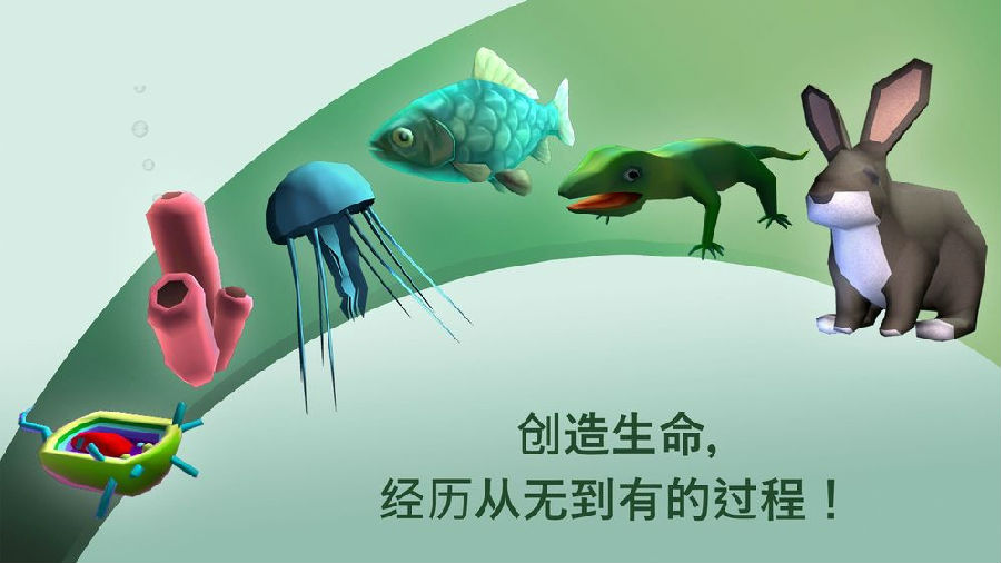 从细胞到奇点无限熵立方体 从细胞到奇点无限熵立方体
