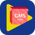 GMS安裝器1.0 安卓版