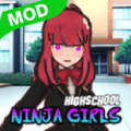 HighSchool Ninja Girls(ŮӸиϷ)1.6İ