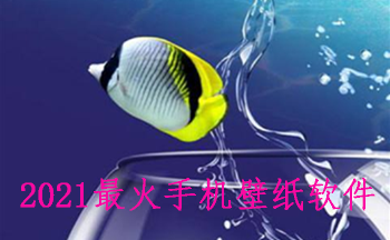 2021最火手机壁纸软件