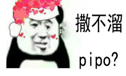 首页→聊天通讯→斗图表情→撒不溜pipo表情包抖音版免费版报错转帖到