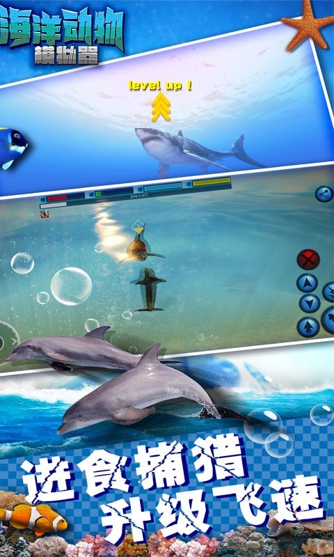 海洋动物模拟器游戏截图