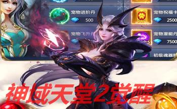 神域天堂2觉醒版本大全