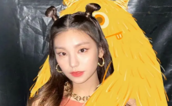 ��С���޵�����