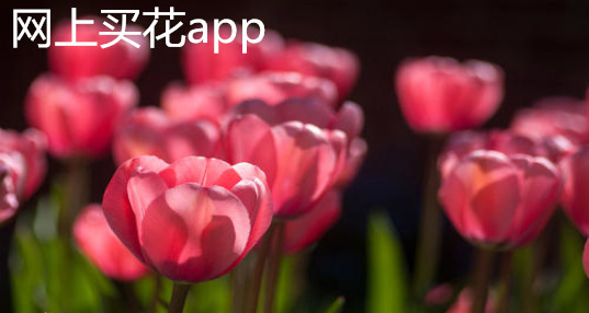 �����򻨵�app