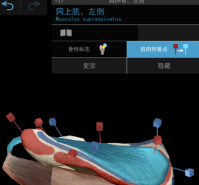 2021人体解剖学图谱app