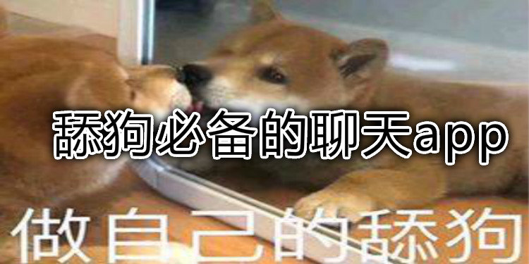 舔狗必备的聊天app