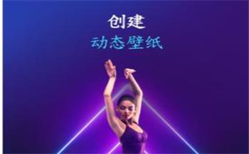 2020�궶�����������ֽ