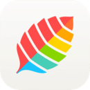 薄荷健康app7.7.8 安卓最新版