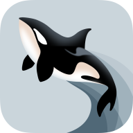 虎鲸快讯app1.0.0 红包版