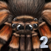 SpiderSim2(ռ֩ģ2)v1 ׿Ѱ