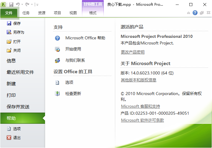 Microsoft Project Pro 2010ͼ0