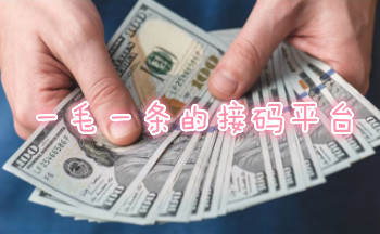 一毛一条的接码平台