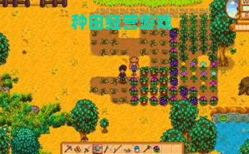 ���ﾭӪ��Ϸ