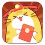 ����è�����1.0 ��׿��