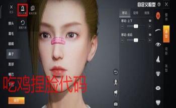 吃鸡捏脸代码生成器