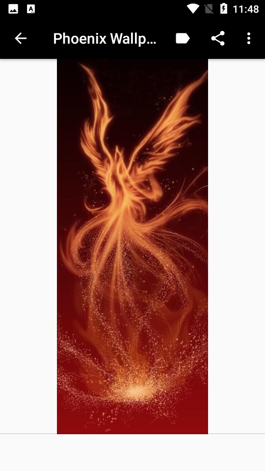 P˱ڼ(Phoenix Wallpaper)؈D