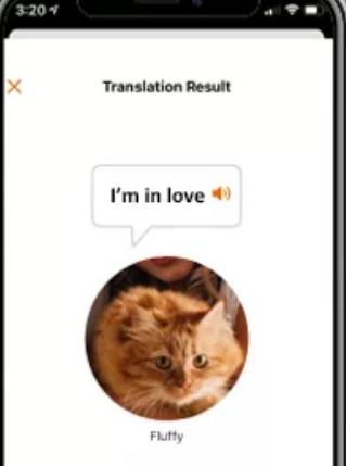 meowtalk cat translator
