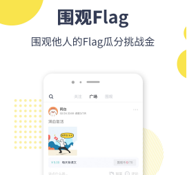 Flag  app