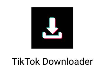 tiktok downloader app