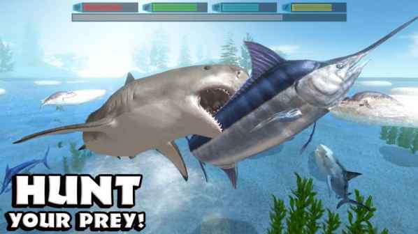 Shark Rampage: Hungry Shark(ռģİ)ͼ