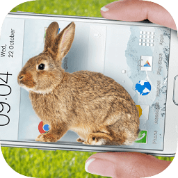 Bunny In Phone Cute joke(ֻСЦ)1.1 İ