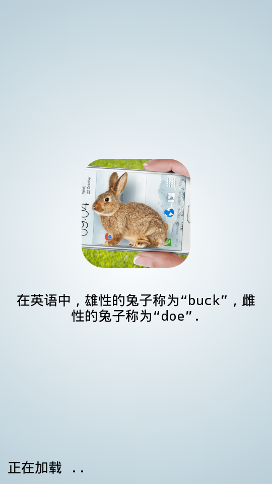 Bunny In Phone Cute joke(ֻСЦ)ͼ