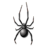 Spider Prank֩ĻSpider Prank׿