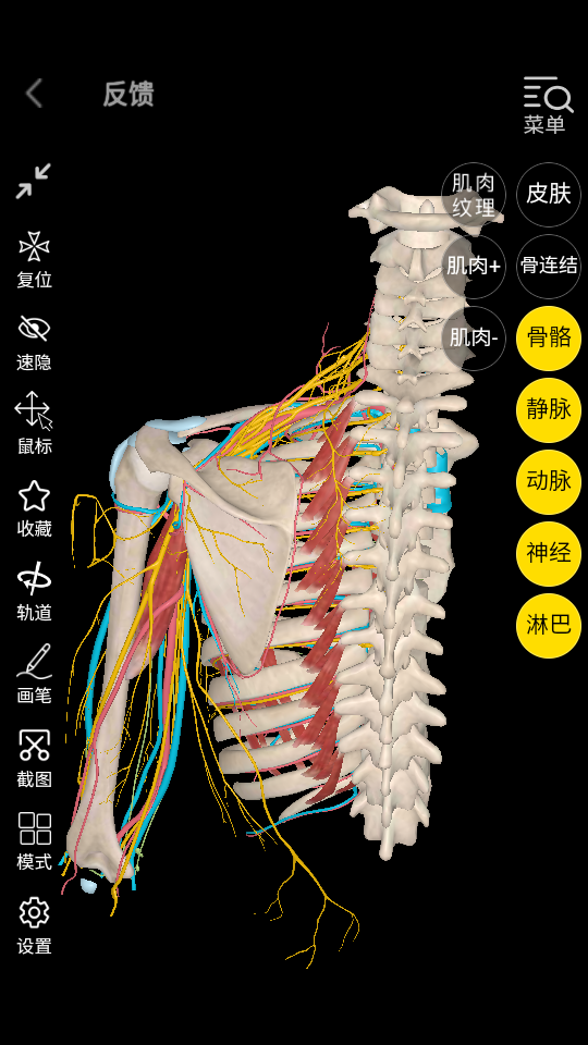 3dbodyѧϰappͼ