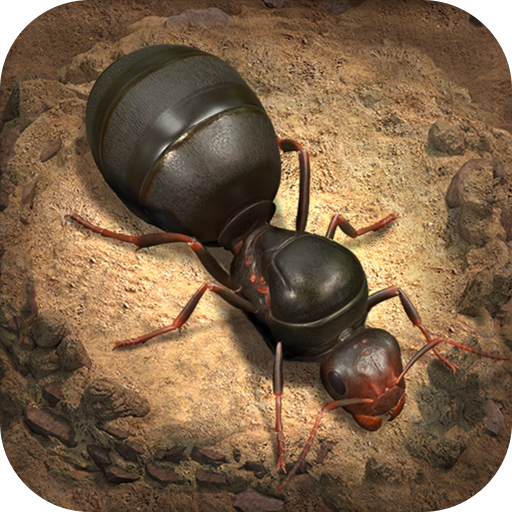 超能蚁团送超级蚂蚁1.31.1 最新版