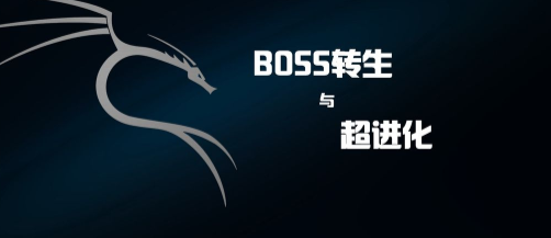 BOSSDcM