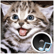 Animal soundsapp3.8.1 ׿