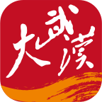 大武漢app6.1.4 安卓版