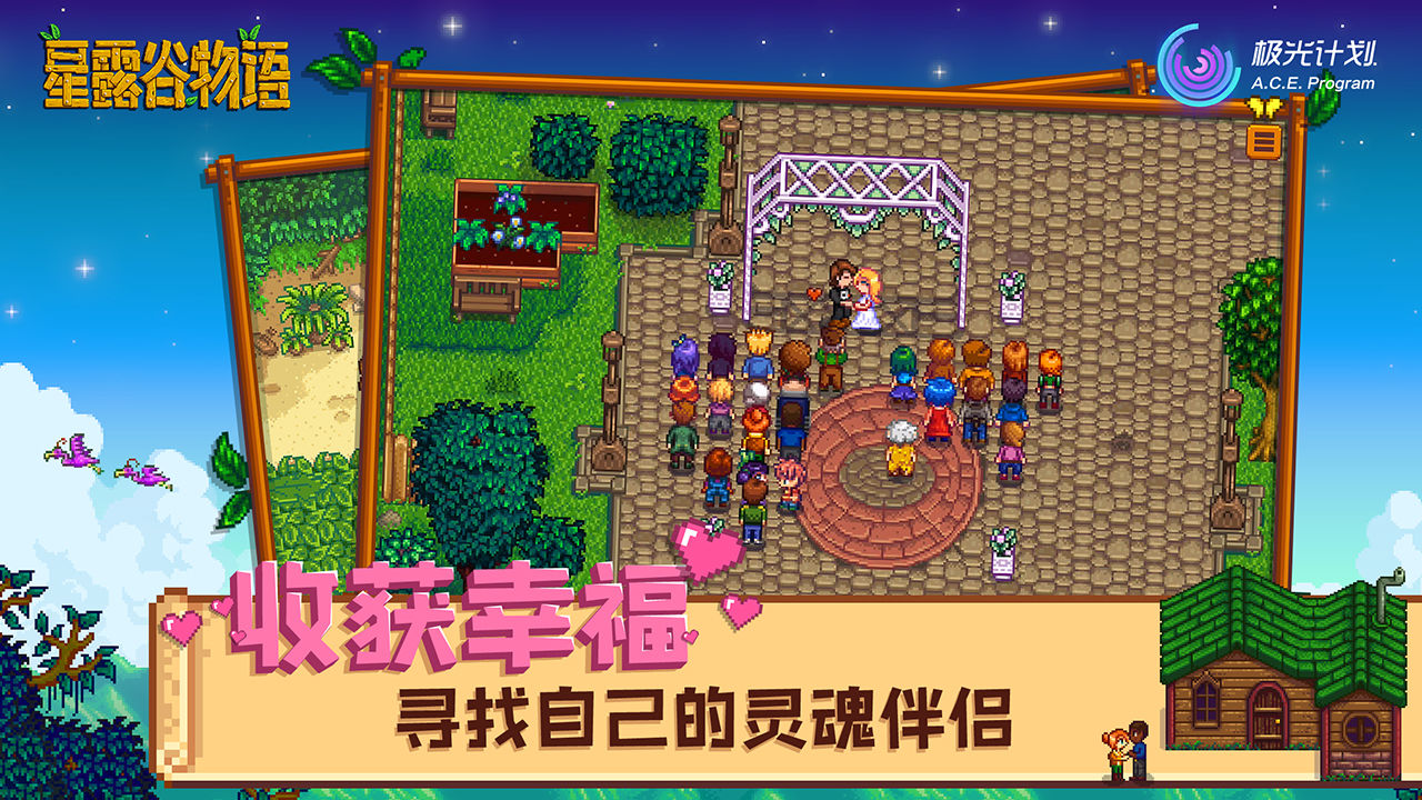 ¶ȸ(Stardew Valley)ͼ