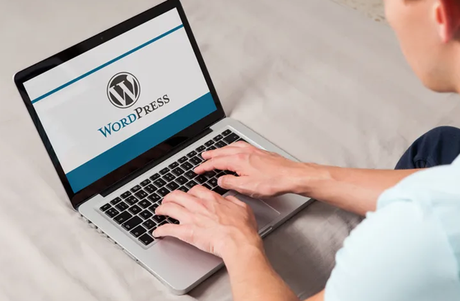 WordPress6.0.1İͼ1
