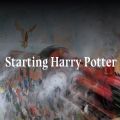 starting harry potter分院�y�游��