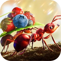 小小蚁国苹果版3.0.5 官方ios版