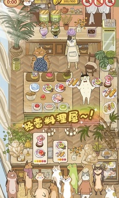 N°(purr-fect chef)؈D