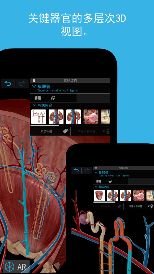 Atlas2023人體解剖學圖譜免費版截圖