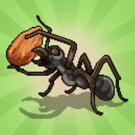 口袋螞蟻殖民地模擬器(Pocket Ants)0.0866 最新版