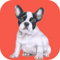 狗狗助手專業版app1.0.8 安卓版