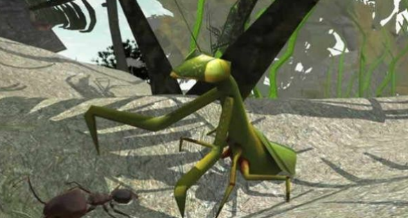 3Dģ(Ant Simulation 3D)ͼ