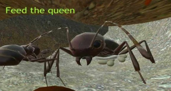 3Dģ(Ant Simulation 3D)ͼ