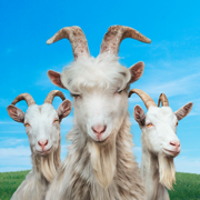 模拟山羊3 ios版(Goat Simulator 3)1.4.6 手机版