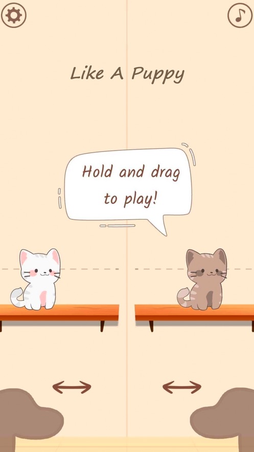 è(Duet Cats: Cute Cat Music)ͼ