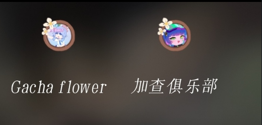 Gacha flower(Ӳ֮)ͼ3