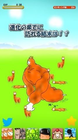 ֹϷ(Alpaca)ͼ